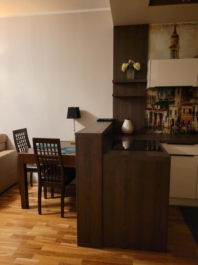 Apartament Moderna Francuska Park Apartman Katowice Kültér fotó